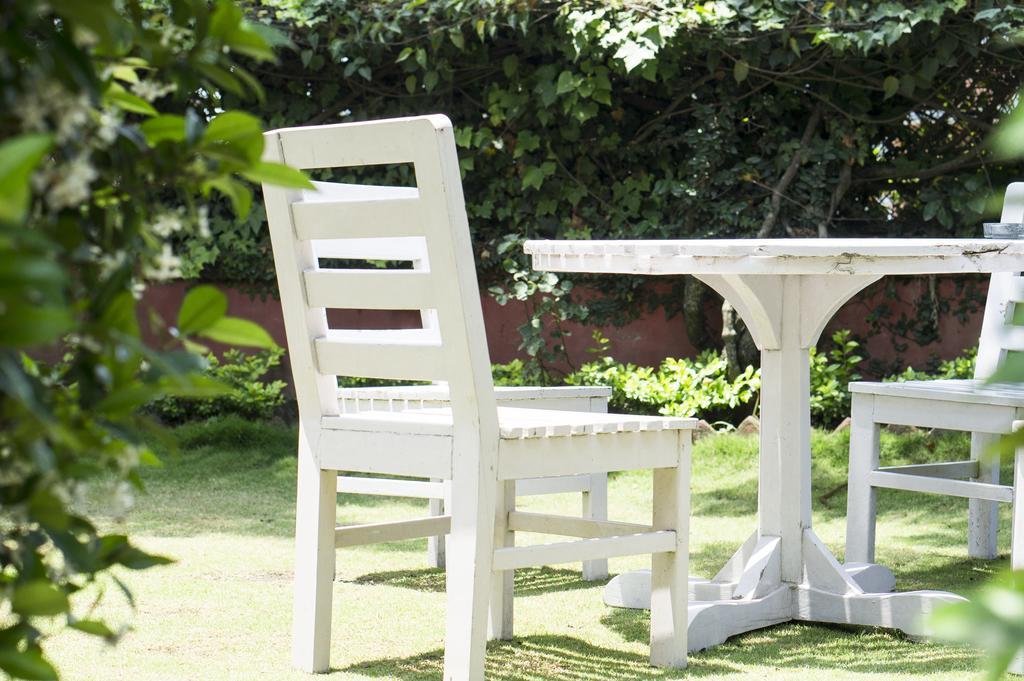 Swayambhu View Guest House كاتماندو المظهر الخارجي الصورة