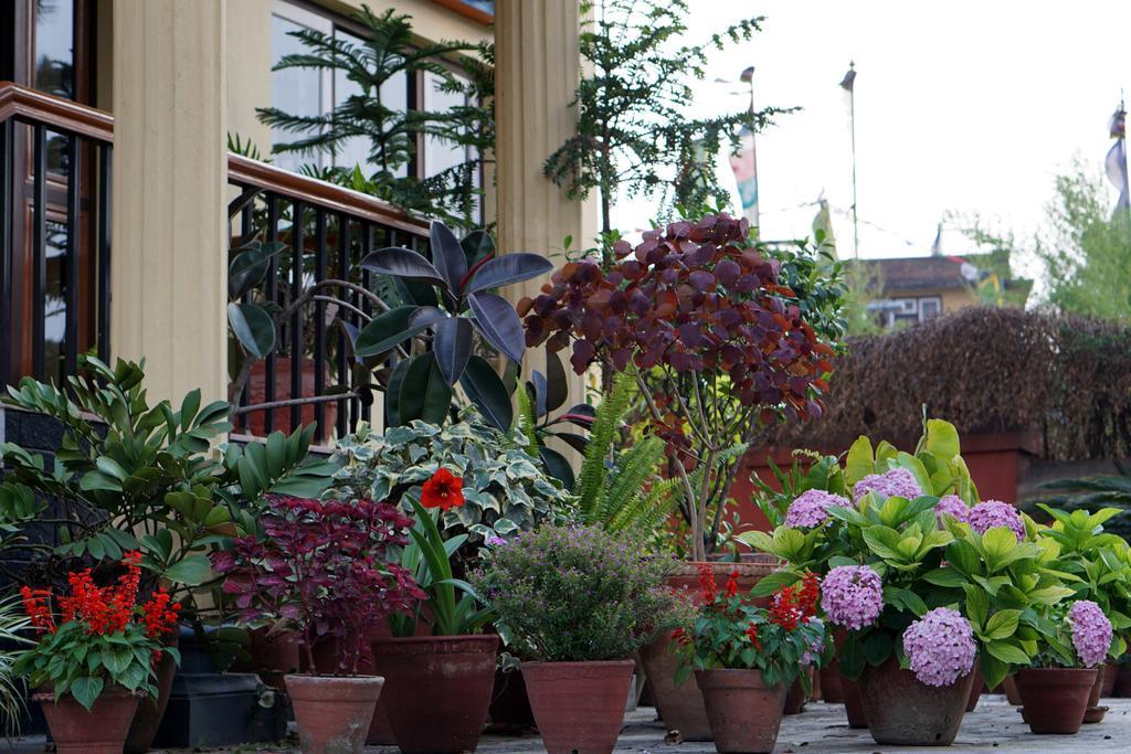 Swayambhu View Guest House كاتماندو المظهر الخارجي الصورة